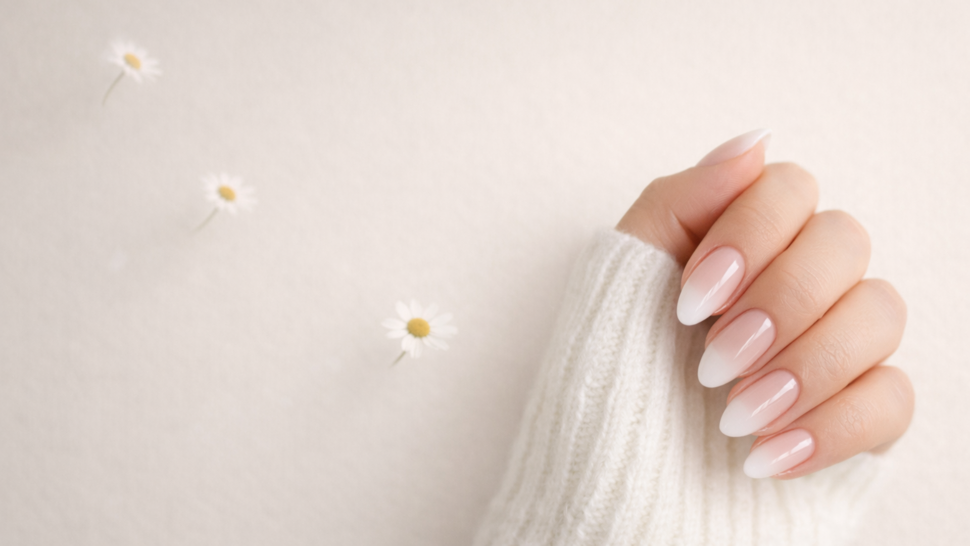 Hand mit milky Ombre Nails in Nude und Weiß vor weichem Hintergrund mit Gänseblümchen, moderner Dipping Powder Look für elegante Nageldesigns